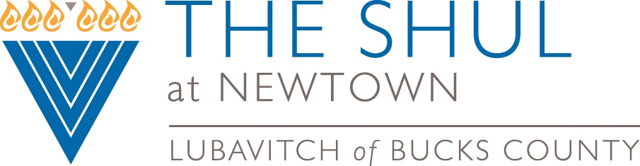 Shul_at_Newtown_4C.jpg